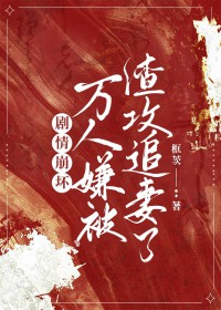 ��������������ӱ�����׷���˷���