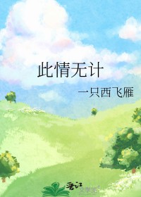 �����޼Ʒ���