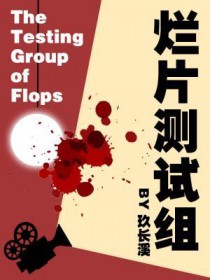 ��Ƭ���������