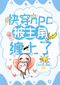 �촩npc�����ǲ����˷���