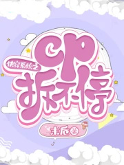 �촩ϵͳ֮cp��ͣ����