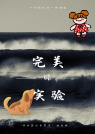 ����ʵ�����