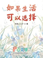 ����������ѡ�����