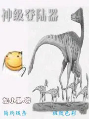 �񼶵�½������