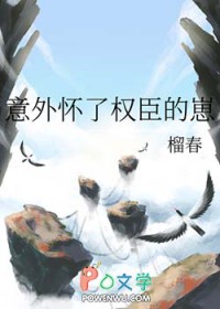 ���⻳��Ȩ�����̷���