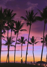 �г������ޣ���H������