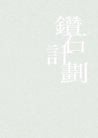 שʯ�ƻ�����