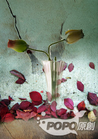 ��֮��Ӱ����