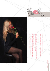 ����˵����(GL)����