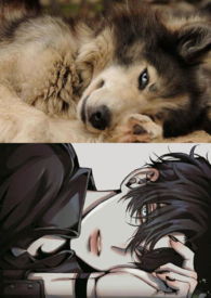 �󽿣�NPH&amp;nbsp;&amp;nbsp;��ͼ������