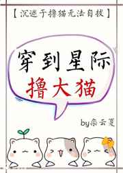 �����Ǽ�ߣ��è ���+�������