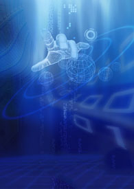 ɽ�����⣬����������