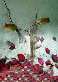 һ�����꣨GL������