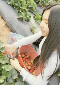 ���в���Ʒ���