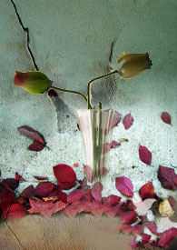 ������һ���𣿷���