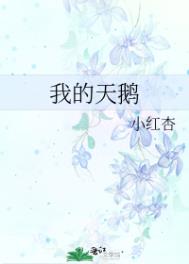 �ҵ���죨����ð����������ұ��ף�����