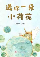 ����һ��С�ɻ�����