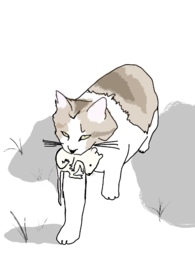 ��ľ�괺����