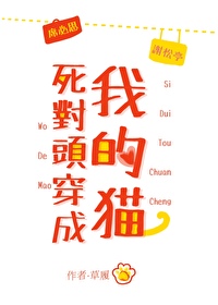 ����ͷ�����ҵ�è����