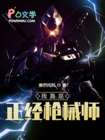 ����������ǹеʦ����