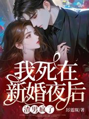 ����ʦ�����뻳���������������ݷ���