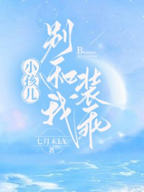 С�����������װ�Է���