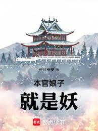 �������Ӿ���������