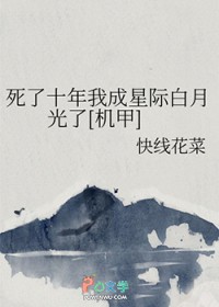 ����ʮ���ҳ��Ǽʰ��¹���[����]����