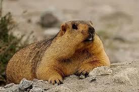 ���ڻ���Ʈ����ô�������ˣ�����