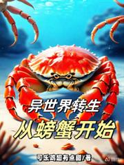 ������ת�����з��ʼ����