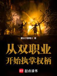 ��˫ְҵ��ʼִ��Ȩ������