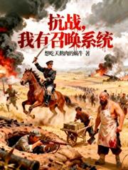 ��ս�������ٻ�ϵͳ����