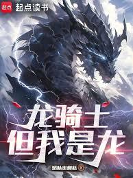 ����ʿ��������������