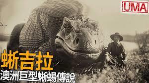 ���������Ϊ��˵��������