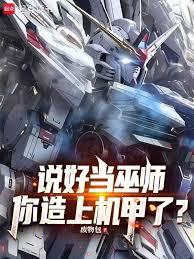 ˵�õ���ʦ�������ϻ����ˣ�����