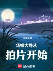 ����󵼴���Ƭ��ʼ����