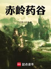 ҽ�������