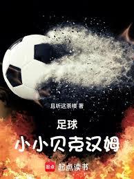 ����СС���˺�ķ����