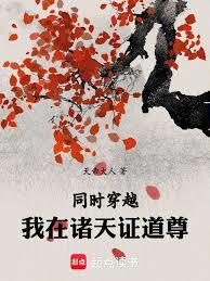 ͬʱ��Խ����������֤�������