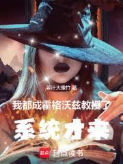 �Ҷ��ɻ������Ƚ����ˣ�ϵͳ��������