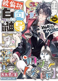 ��ƫִ�����򵼵�����[�Ǽ�]����