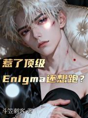 ���˶���Enigma�����ܣ�����