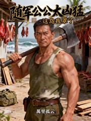 �������̫���ͣ��⵺�����˷���