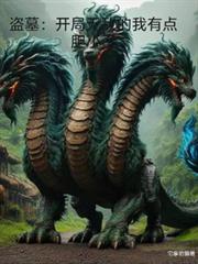 ��Ĺ�������޵е����е㵨С�˷���