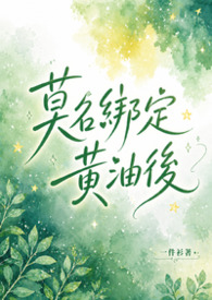 Ī���󶨻��ͺ�NP������